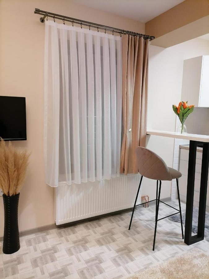 Апартаменты Apartman Savic Баина-Башта Экстерьер фото