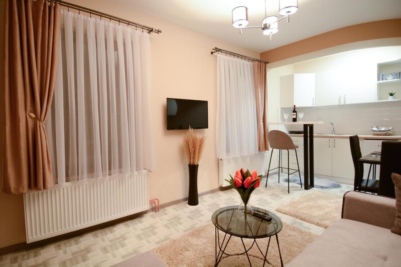 Апартаменты Apartman Savic Баина-Башта Экстерьер фото