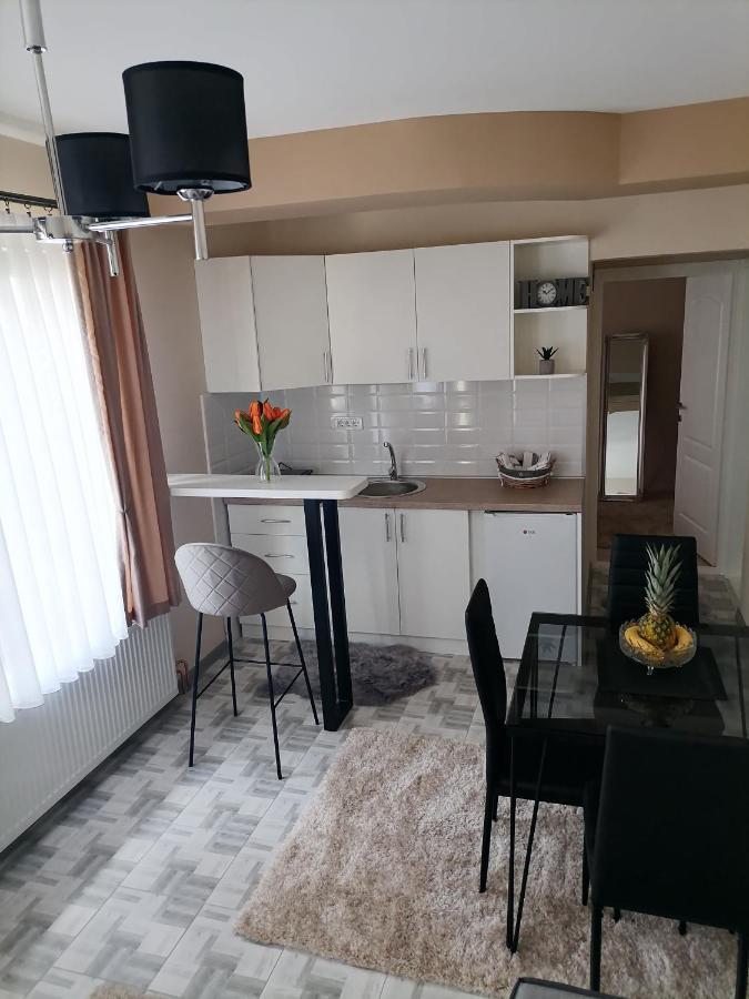 Апартаменты Apartman Savic Баина-Башта Экстерьер фото